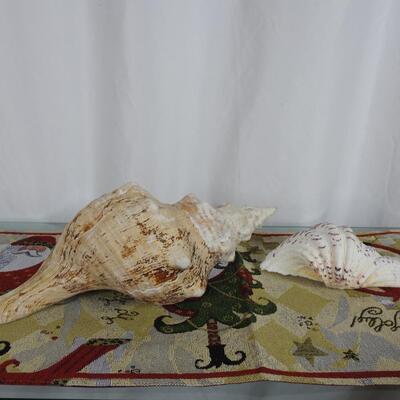 Shells
