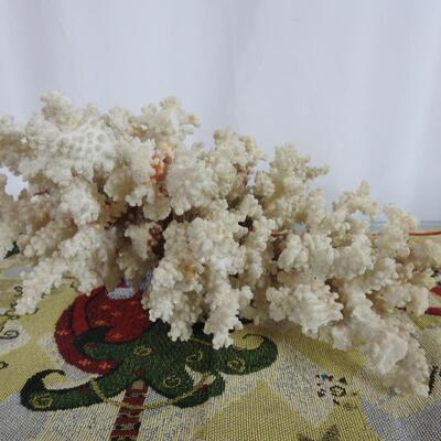 White Coral