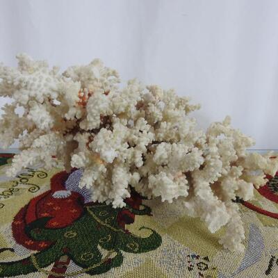 White Coral