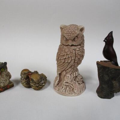 Collection Of Owls & Birds