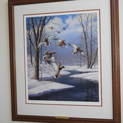 Winter Wonder Mallards