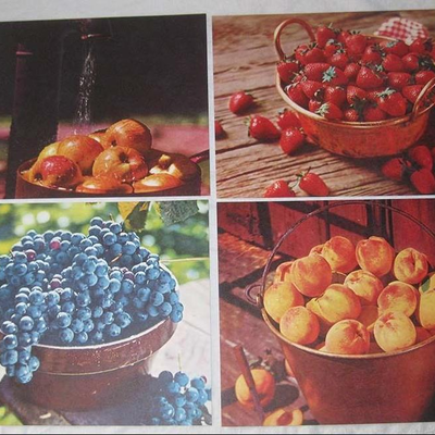 MS 1959 Fruit Pictures from Kraft Foods Giveaway Jams & Jelly Original Envelope