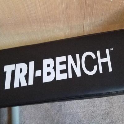 Lot #228  Tri=Bench with 3 & 5 pound weights