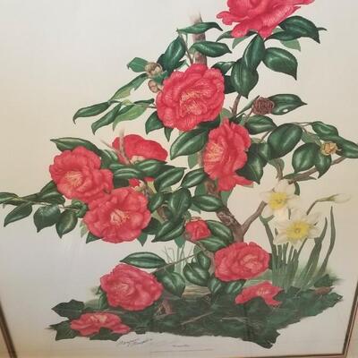 Lot #239 Beautiful Lithograph of a Camellia by listed artist Mayrose Wampler