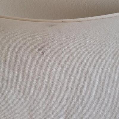 Lot 223: Antique Couch Covered with A Canvas Colored Cover