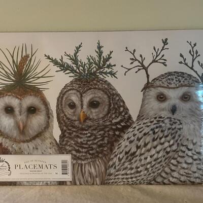 ST LARGE FORMAT OWL PLACE MATS