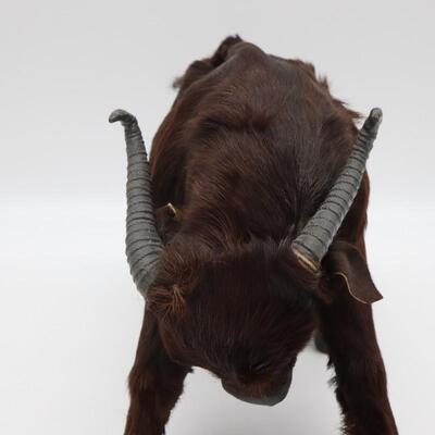 Water Buffalo Figure With Real Fur