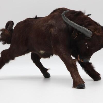 Water Buffalo Figure With Real Fur