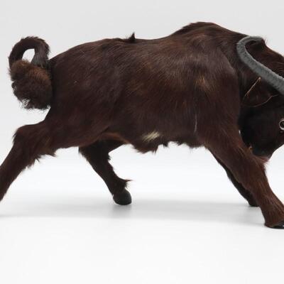 Water Buffalo Figure With Real Fur