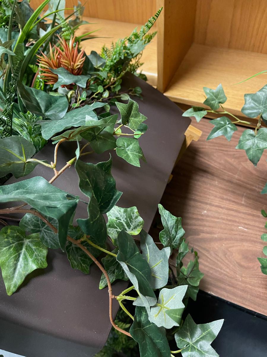 SILK Plants / Greenery