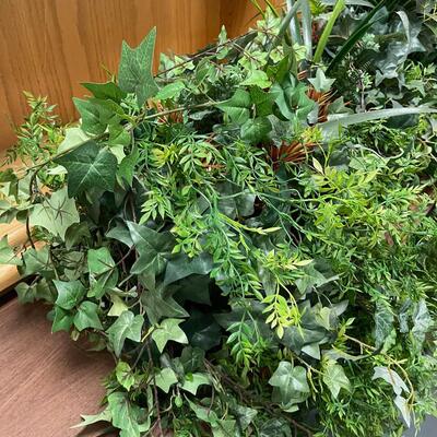 SILK Plants / Greenery  