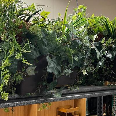 SILK Plants / Greenery  