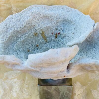 AA   WHITE CORAL SCULPTURE MOUNTED BLOCK BASE