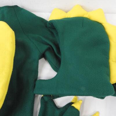 Dragon Costume, Youth/Teenager, Good Condition