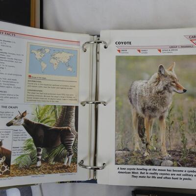 3 Wildlife Fact Files, Groups 1 - 11, Missing 2