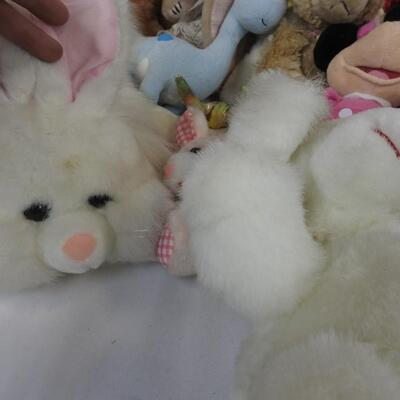 20+ Stuffed Animals: New Hampshire Coin Bear to Bunnies