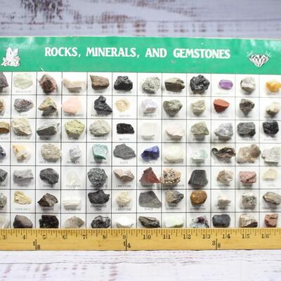 Rocks, Minerals, and Gemstones Identification Chart with Sample Pieces