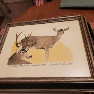 Desert Mule Deer lithograph - hand colored #ed 11/30 - signed Charles Beckendorf