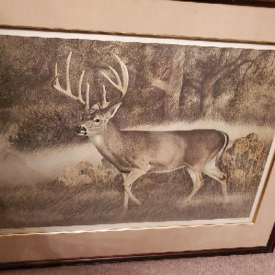 Texas Whitetail lithograph - #ed 769/950 - signed Charles  Beckendorf