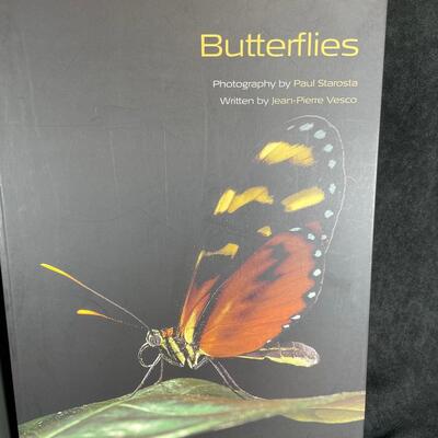 Lot 53. Butterfly Book and Picture