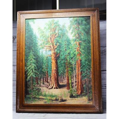 Antique 1926 Original Sequoia Redwood Tree Landscape Painting by Alice Gibson Hornby