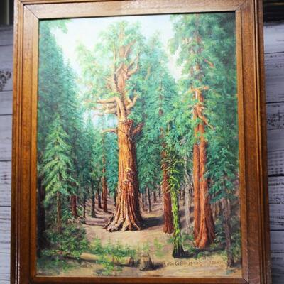 Antique 1926 Original Sequoia Redwood Tree Landscape Painting by Alice Gibson Hornby