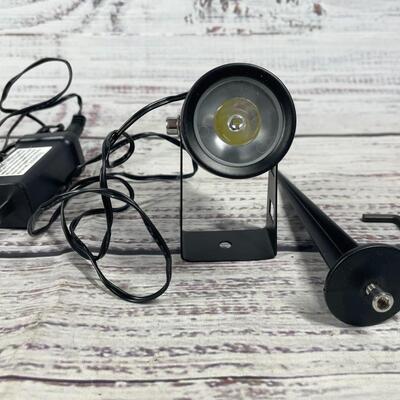 Philips Cool White Indoor/ Outdoor Spotlight Set of Two