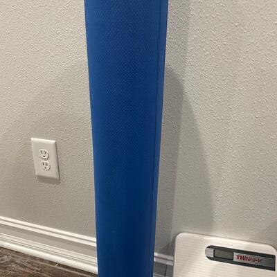 Lot 110. Exercise Gear and Scale