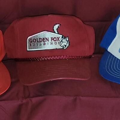 Golden Fox 3 Cap Lot