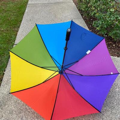 Raines Large Rainbow Colored Umbrella