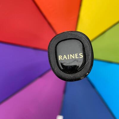 Raines Large Rainbow Colored Umbrella