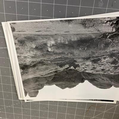 Black and White Landscape Desert 