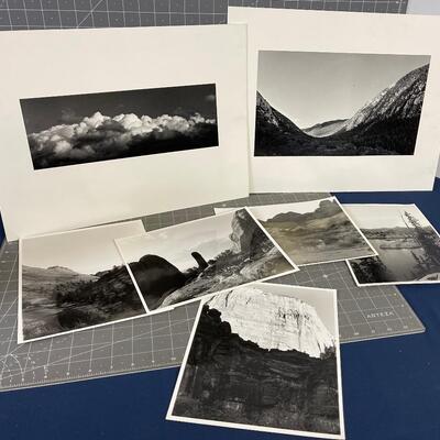 Black and White Landscape Desert 