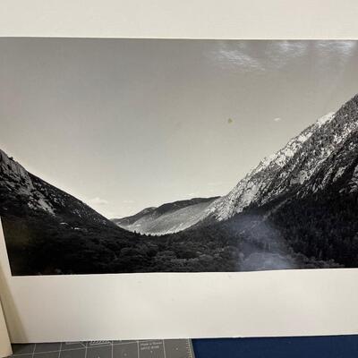 Black and White Landscape Desert 