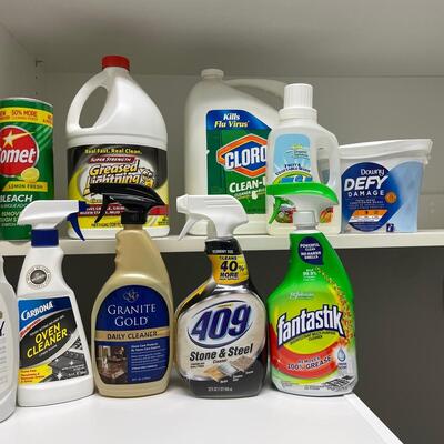 Lot 170. Cleaning Products