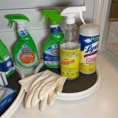 Lot 171. More Cleaning Products