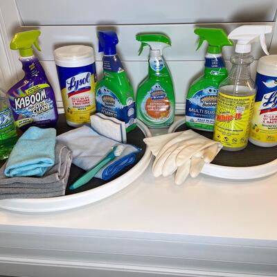 Lot 171. More Cleaning Products