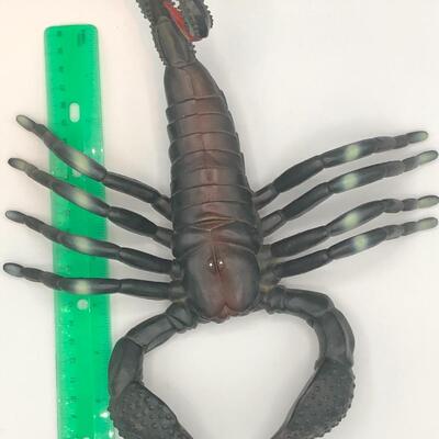Jumbo Fake Scorpion