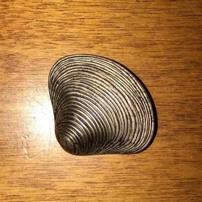 Sterling Shell pin