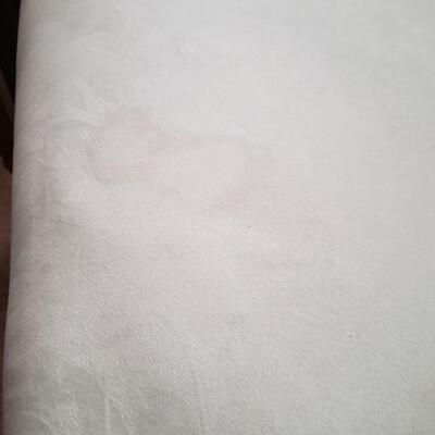 Love seat needs cleaning