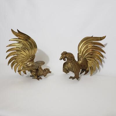 37A Roosters