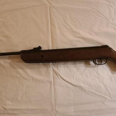 Firearm: Gamo Hunter 220 pellet rifle