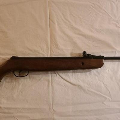 Firearm: Gamo Hunter 220 pellet rifle