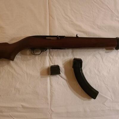 Firearm: Ruger 10/22 Carbine