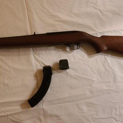 Firearm: Ruger 10/22 Carbine