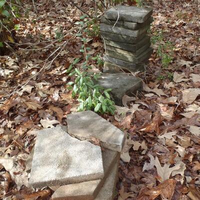 Concrete pavers stepping stones