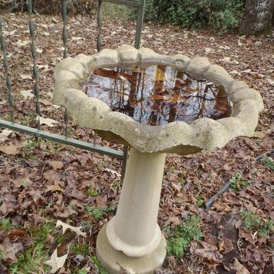 Concrete bird bath, smooth edges