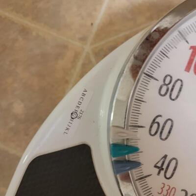 scale capacity 330lbs by Taylor