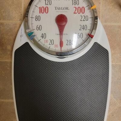 scale capacity 330lbs by Taylor