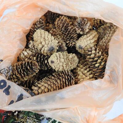 Holiday Craft Lot: Pinecones, Ribbon, Bear, Ornaments, Garland